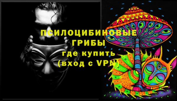 твердый Богданович