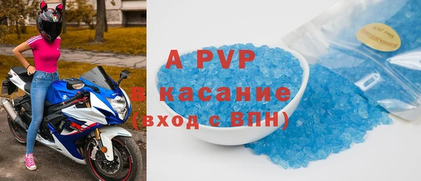 твердый Богданович