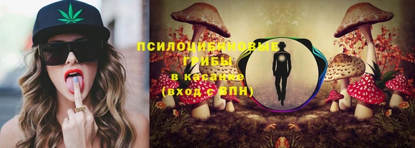 твердый Богданович